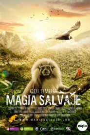 Colombia: Magia Salvaje