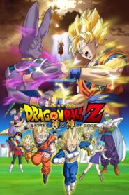 Dragon Ball Z 14: Bitwa Bogów Oglądaj online za darmo!