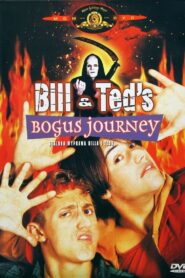 Szalona Wyprawa Billa i Teda