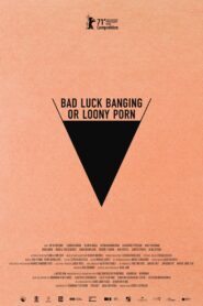 Babardeala cu bucluc sau porno balamuc