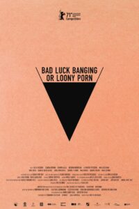 Babardeala cu bucluc sau porno balamuc