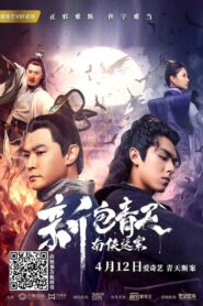 新包青天南侠谜案