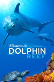 Dolphin Reef Oglądaj online za darmo!
