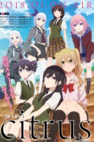 Citrus Pobierz lub oglądaj za free!