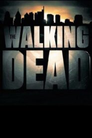 Untitled 'The Walking Dead’ Film
