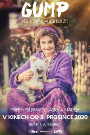 Gump – pes, který naučil lidi žít